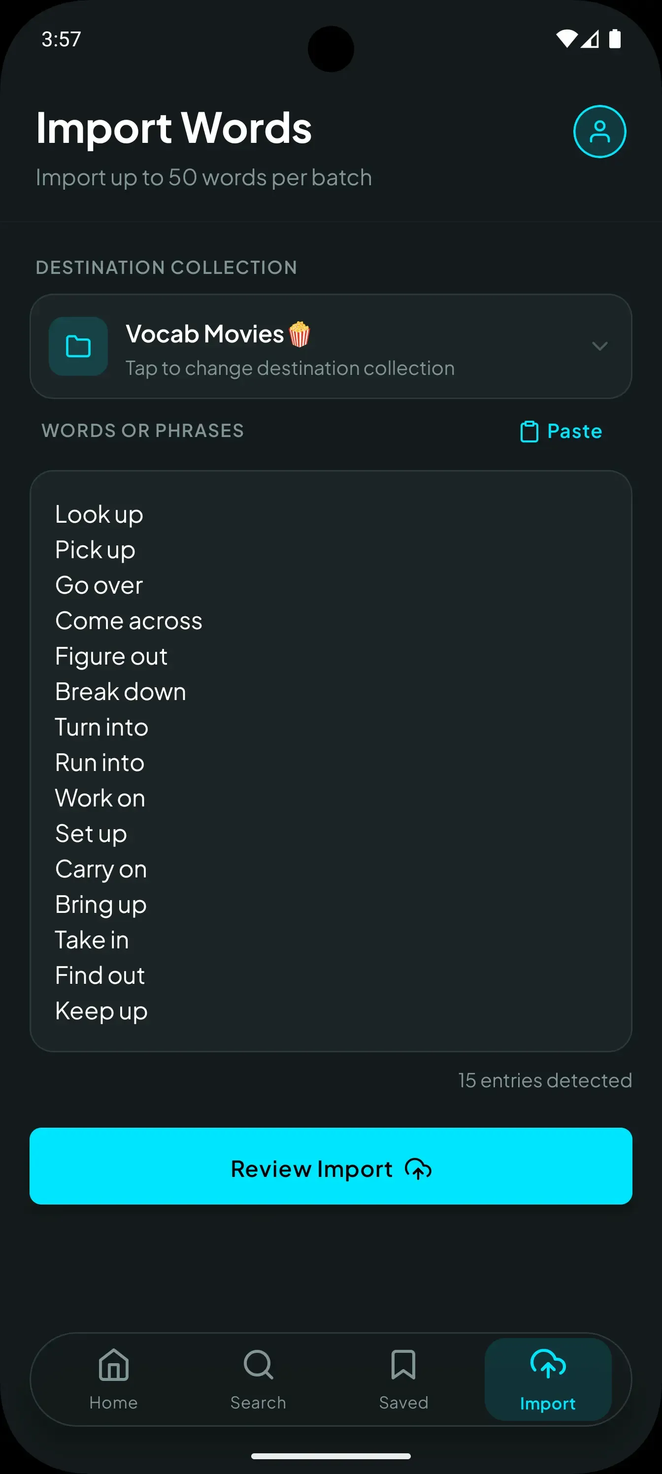 Import screen for adding a custom vocabulary list in bulk